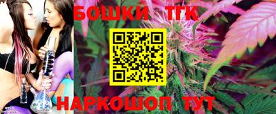 МДПВ Кингисепп