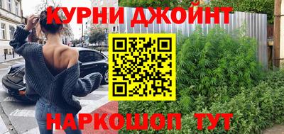 шишки Кинель