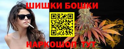 МДПВ Кингисепп