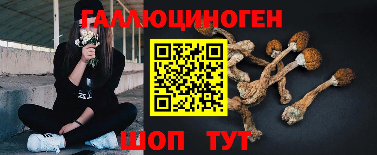 Псилоцибиновые грибы GOLDEN TEACHER Елабуга